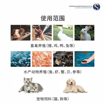 厂家直供饲料壳寡糖宠物饲料虾蟹海参水产猪饲料添加剂减抗替抗1k图3