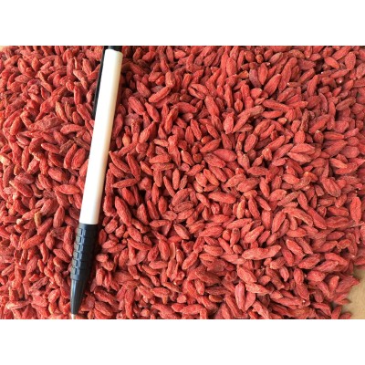 宁夏枸杞 中宁枸杞500g 红枸杞干净散货一箱40斤枸杞批发图4