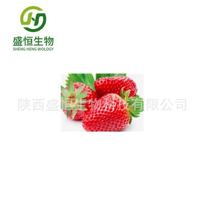 草莓粉 草莓果粉 草莓果汁粉 现货供应 量大从优 2kg起订图2