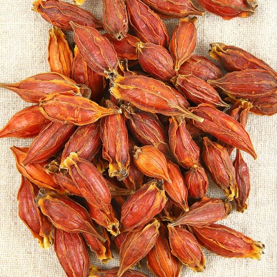 中药材栀调味上色香料散装山栀子果泡水泡酒无硫红栀子干厂家代发图3