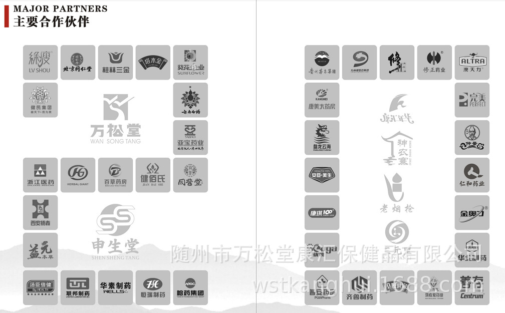 主要合作伙伴.jpg