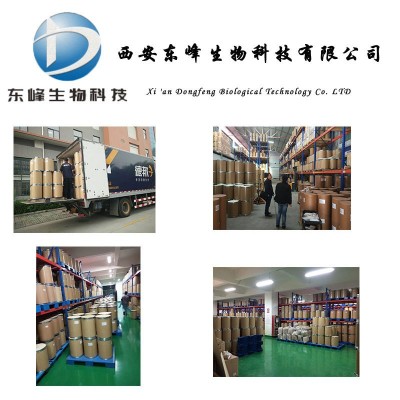 破壁灵芝孢子粉98% 厂家直供 灵芝孢子粉 源头货源 灵芝三萜多糖图3
