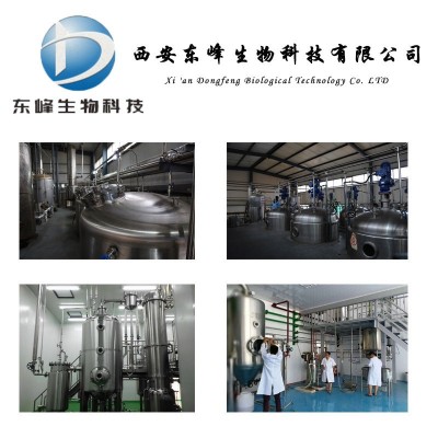 水溶性人参皂甙80% 食品级人参提取物源头货源厂家直供人参皂甙图4