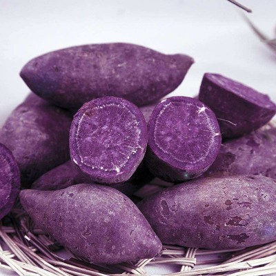 紫薯粉紫薯全粉厂家果蔬粉批发烘焙原料散装500g 量大价低图3