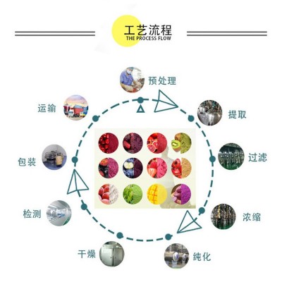 东江天成 菊花提取物10:1 水溶性食品级菊花浓缩粉 可提供拿样图2