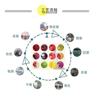 新品血橙粉 水溶性血橙果汁粉 免费拿样 1公斤每包