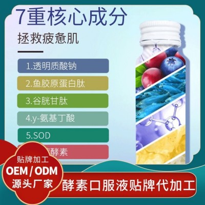 人参蓝莓柠檬酵素原液饮料代加工酵素饮品批发果蔬酵素口服液贴牌图3