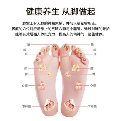 气血循环机气血温通养生仪热磁通脉按摩足底能量平衡仪家用图3