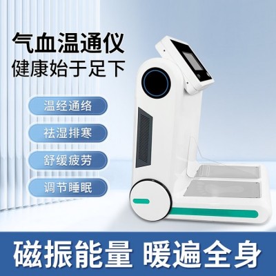 气血循环机气血温通养生仪热磁通脉按摩足底能量平衡仪家用图5