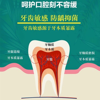 二类牙齿脱敏剂牙膏成人儿童口腔护理美白清洁牙渍去污厂家可定制图3