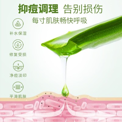 仁和匠心芦荟胶500g补水保湿锁水滋润温和芦荟凝胶抖音同款代发图1