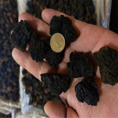 桦树茸白桦茸桦褐孔菌黑金颗粒，桦树茸外皮俄罗斯西伯利亚代加工图2