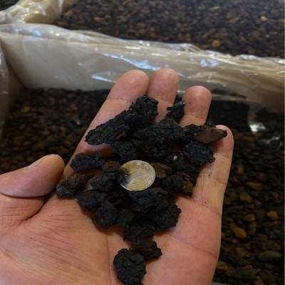 桦树茸白桦茸桦褐孔菌黑金颗粒，桦树茸外皮俄罗斯西伯利亚代加工图5