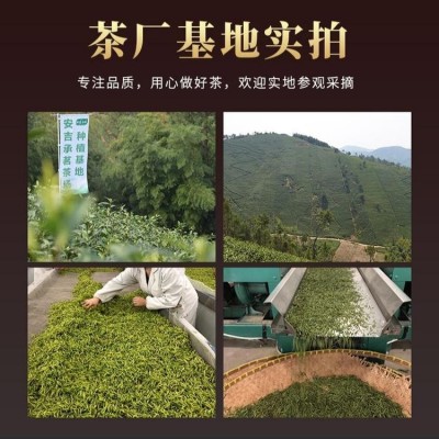浙江安吉白茶批发价格表大全 绿茶安吉白茶图片 福建小镇茶一件代发图4