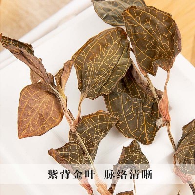 金线莲干品整株纯叶大叶中药材泡水煲汤食材整株精挑金线莲批发图3