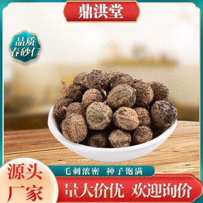 批发供应砂仁中药材散装批发干净无杂阳春砂仁香砂仁个香料春砂仁图5
