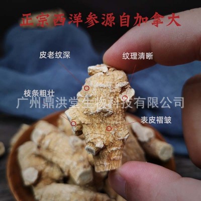 加拿大西洋参粒头规格齐全西洋参足龄味浓西洋参批发免费切片磨粉图5