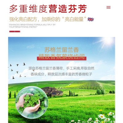 MissPride祛渍牙膏去烟渍去茶渍氨基酸精华含氟防蛀护龈工厂批发图2