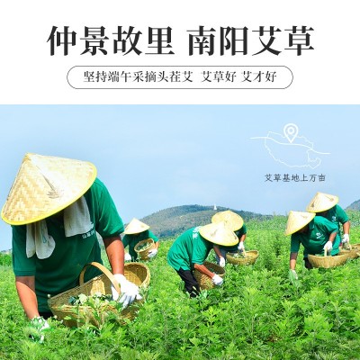 妙艾堂60:1艾灸柱批发盒装陈年艾条金艾绒五年陈54粒艾柱南阳厂家图2