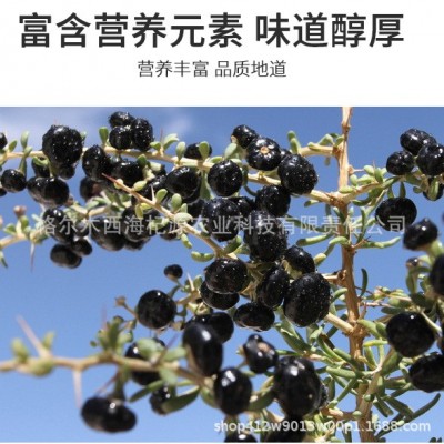 青海 黑枸杞草原沙漠戈壁滩 昆仑山里的黑枸杞花青素高中果非宁夏图3