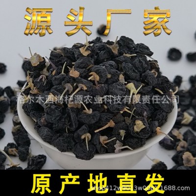 青海 黑枸杞草原沙漠戈壁滩 昆仑山里的黑枸杞花青素高中果非宁夏图5