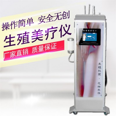 女性水冲洗私密护理仪器美容院妇科冲洗生殖美疗仪私处紧致振动仪图3