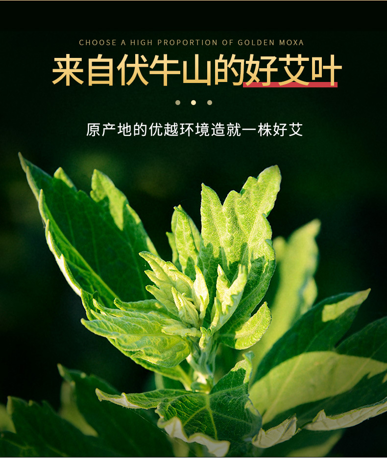艾灸条详情_04.jpg
