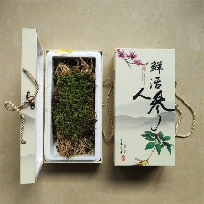 精选新鲜人参带土鲜参吉林长白山人参煲汤泡酒东北特产半斤 大人参图2