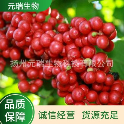 五味子提取液 五味子萃取洗化用品原液 植物提取液萃取液厂家图5