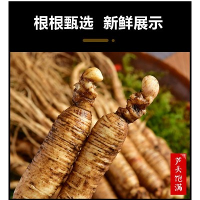 长白山人参新鲜人参带土人参东北人参图4