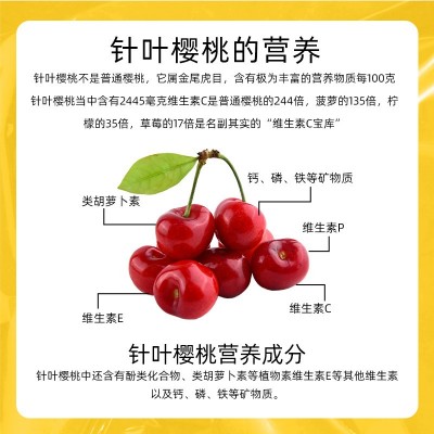 针叶樱桃维生素C复合维生素压片糖果vc咀嚼片针叶樱桃天然维生素c图4