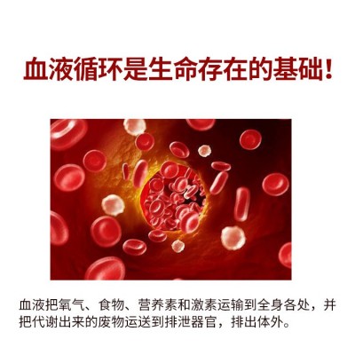 厂家正品地龙蛋白 心脑血管氧化片 剂压片糖果加工源头工厂图3