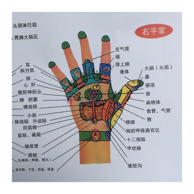 标准经穴部位图人体经络图挂图穴位图健康疗法挂图双面图5
