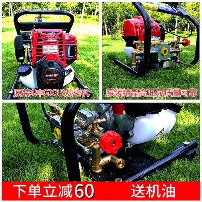 手提汽油打药机高压四冲程消毒机果树喷雾机园林喷雾器农用洗车机图3