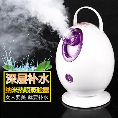 2016鸡蛋负离子离子蒸脸器/喷雾仪 加热喷雾器加湿器 补水仪图3