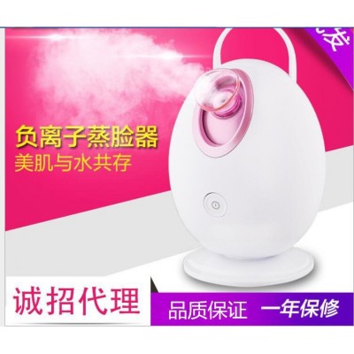 2016鸡蛋负离子离子蒸脸器/喷雾仪 加热喷雾器加湿器 补水仪图4