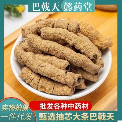 中药材抽芯巴戟天 大条紫肉 巴戟天大货批发 男士泡茶泡酒料图4