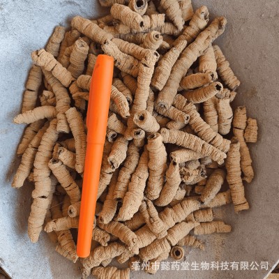 中药材抽芯巴戟天 大条紫肉 巴戟天大货批发 男士泡茶泡酒料图5