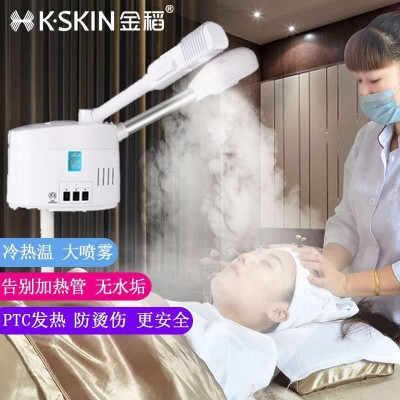 中草药美容院专用热喷蒸脸器家用冷热双喷纳米喷雾机图5