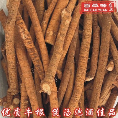 百草源新鲜牛大力根木质牛根生新鲜条牛古大力金钟根滋补煲汤泡酒图1