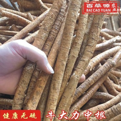 百草源新鲜牛大力根木质牛根生新鲜条牛古大力金钟根滋补煲汤泡酒图3
