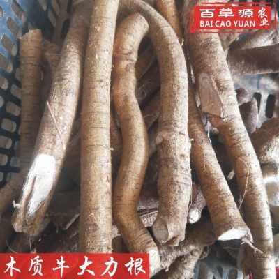 百草源新鲜牛大力根木质牛根生新鲜条牛古大力金钟根滋补煲汤泡酒图5