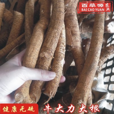 百草源新鲜牛大力根木质牛根生新鲜条牛古大力金钟根滋补煲汤泡酒图4