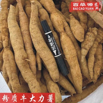百草源新鲜牛大力薯生鲜货粉质薯500g金钟根中药材大叶正宗牛大力图5