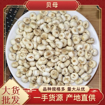 川贝母产地货源 小颗粒贝母散装多种规格包邮 中药材大货批发贝母图5