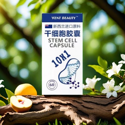 奢养干细胞营养素PQQ亚精胺线粒体胶囊现货供应源头厂家图2