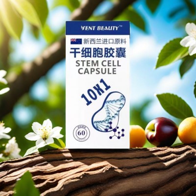 奢养干细胞营养素PQQ亚精胺线粒体胶囊现货供应源头厂家图5