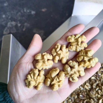 核桃核桃仁出口厂家一手货源代加工原料河北纸皮核桃食品商检批发图2