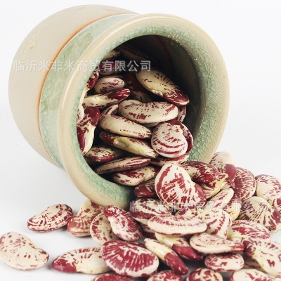 荷包豆 批发大肾豆状元豆25kg云南花芸豆皇帝豆大粒斑马豆杂粮图5