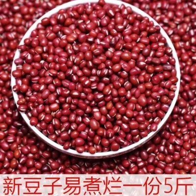 东北红小豆厂家批发大赤豆五谷杂粮原料现货红小豆一件代发 红豆图2